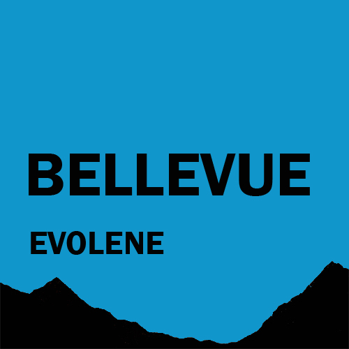 Chalet Bellevue 
         Evolène ¦ Appartement de vacances à louer ¦ Hérens Valais Suisse