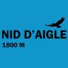 logo_nid_daigle1